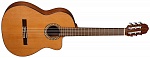 :PRUDENCIO 50 Cutaway Guitar Cedar  